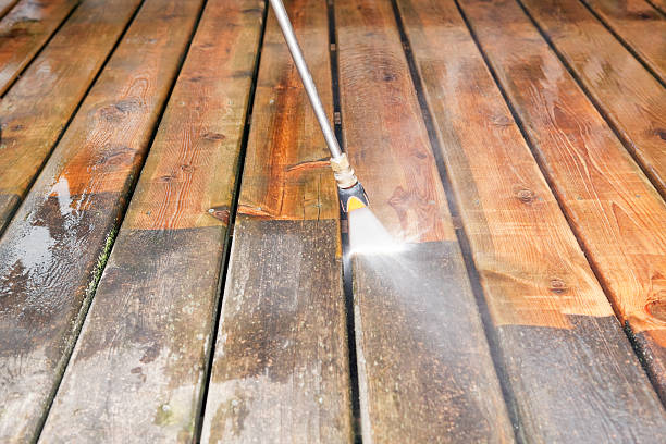Best Local Pressure Washing Services  in Fayette, MS