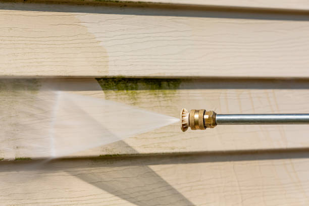 Best Roof Pressure Washing  in Fayette, MS